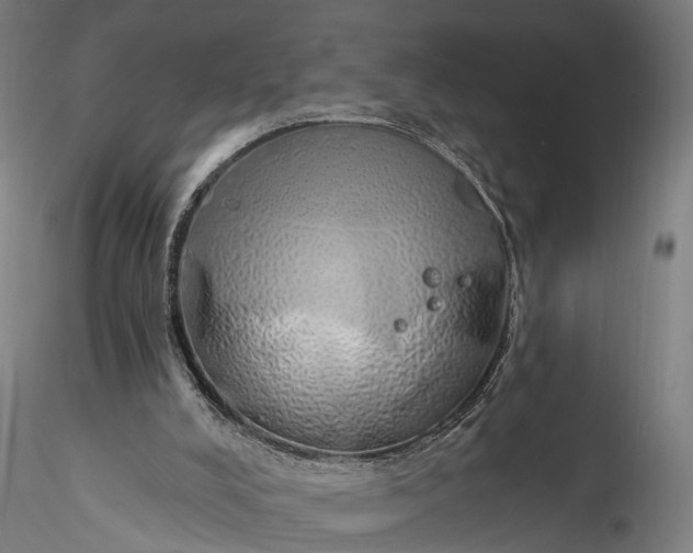 X0000116110008200912071333