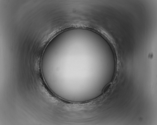 X0000116110009200912071333