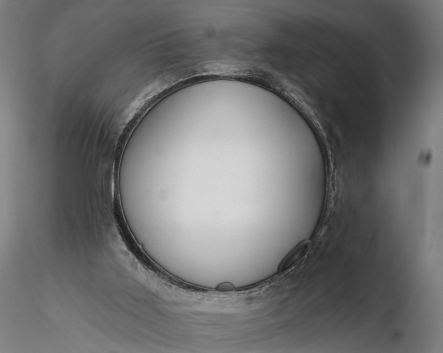 X0000116110011200912071333