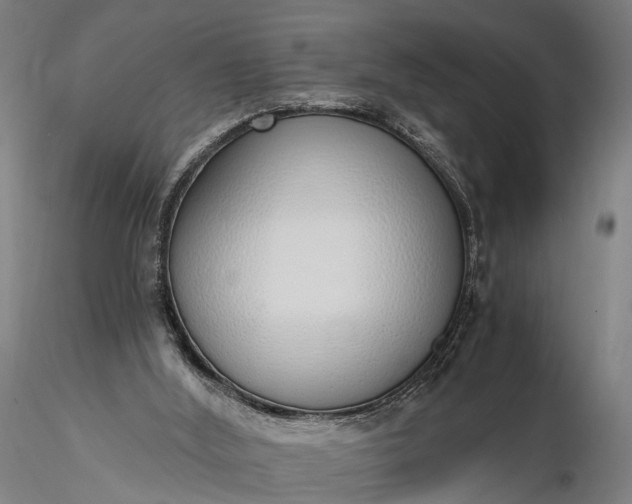 X0000116110012200912071333