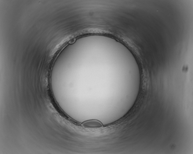 X0000116110015200912071333