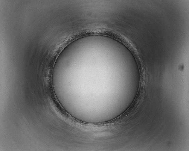 X0000116110018200912071333