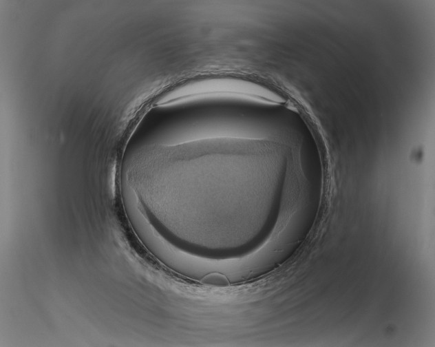 X0000116110019200912071333