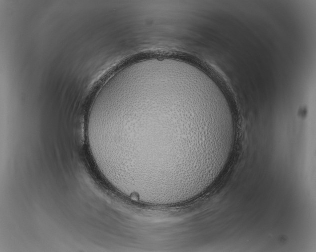 X0000116110020200912071333