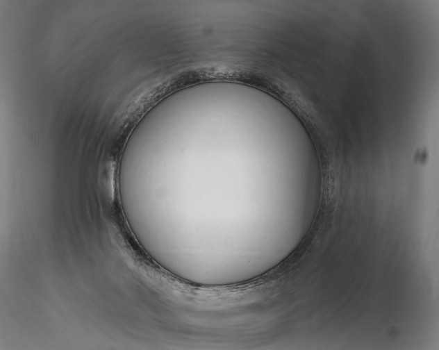 X0000116110022200912071333