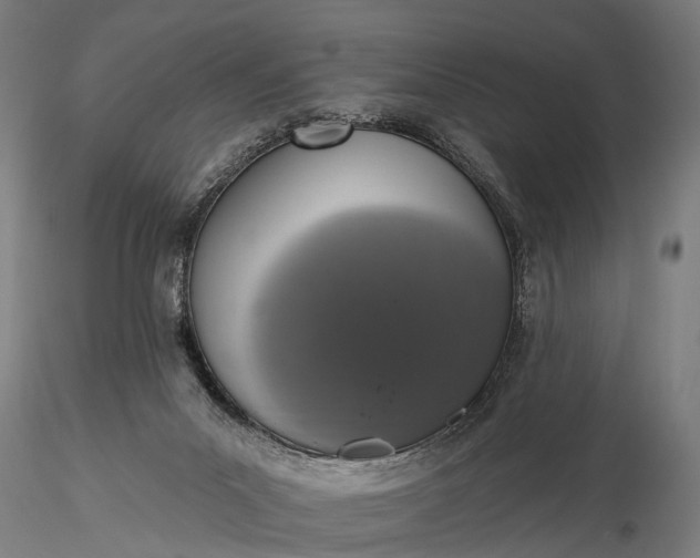 X0000116110023200912071333