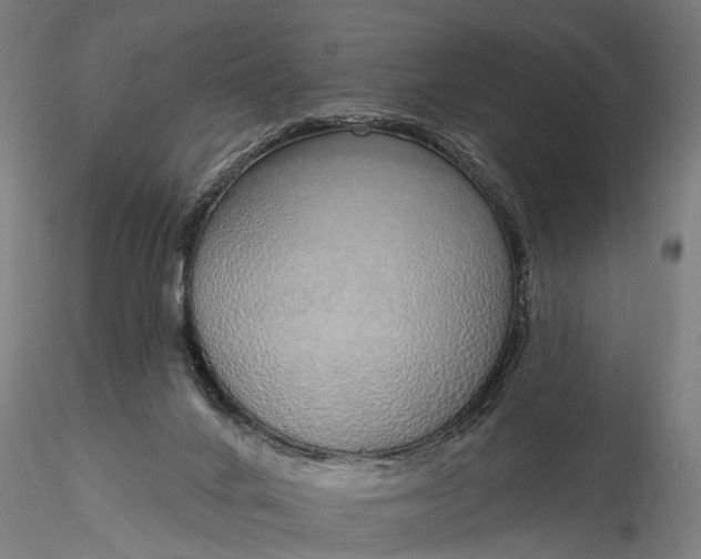 X0000116110024200912071333