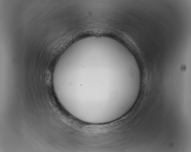 X0000116110025200912071333