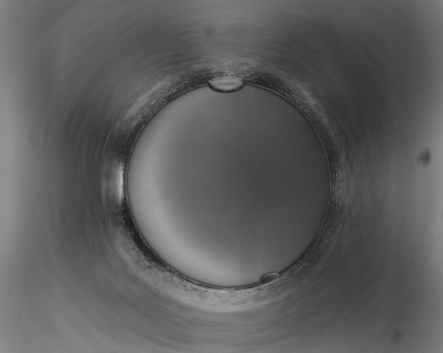 X0000116110027200912071333