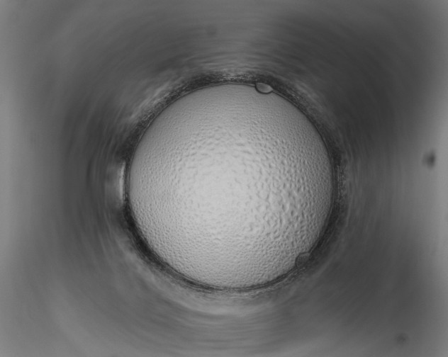 X0000116110028200912071333