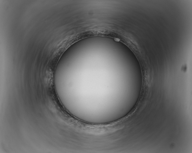 X0000116110029200912071333