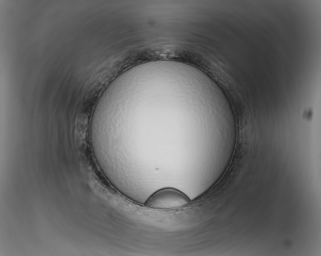 X0000116110030200912071333