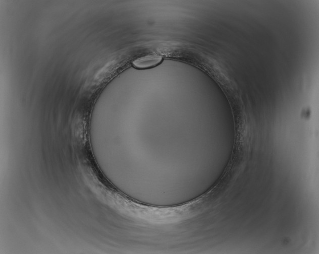 X0000116110031200912071333