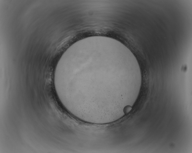 X0000116110032200912071333