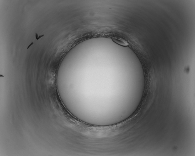 X0000116110033200912071333