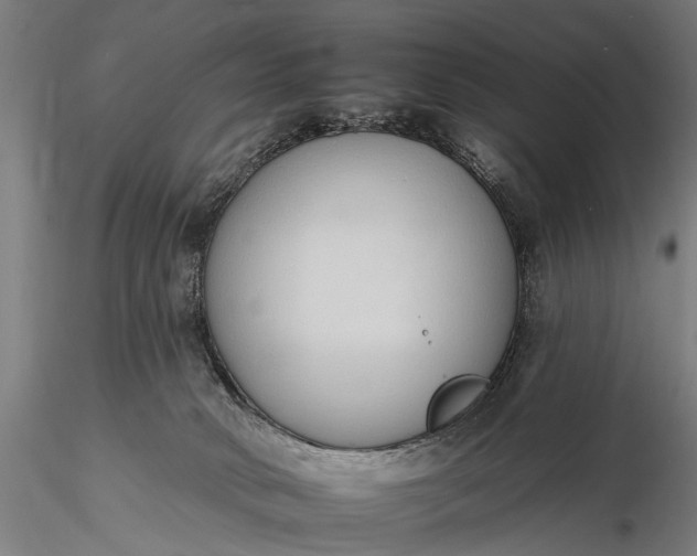 X0000116110034200912071333