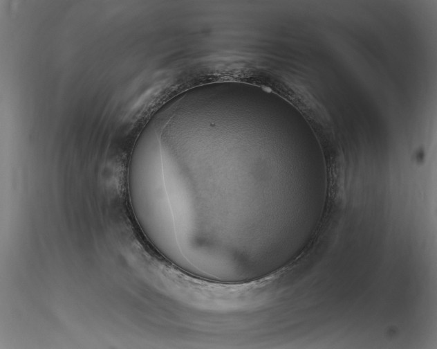 X0000116110035200912071333