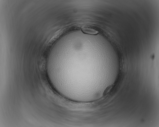 X0000116110036200912071333