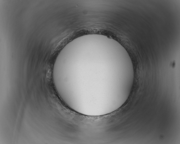 X0000116110037200912071333