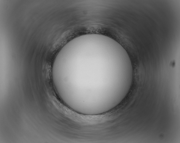 X0000116110038200912071333