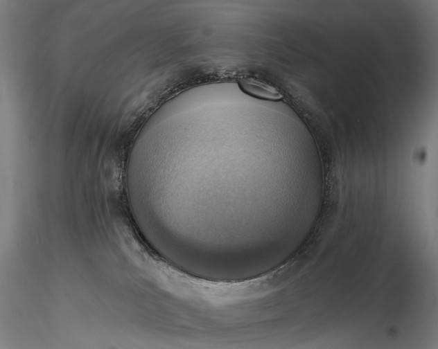 X0000116110039200912071333