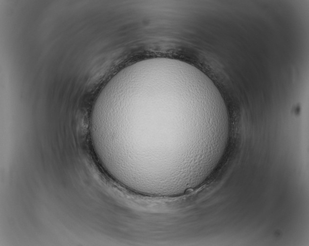 X0000116110040200912071333