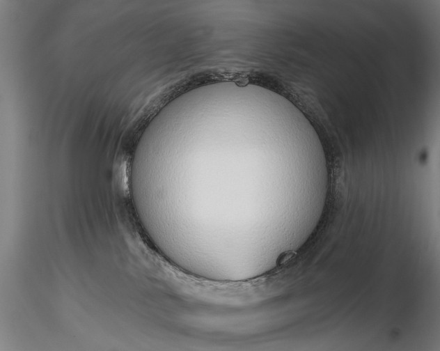 X0000116110042200912071333