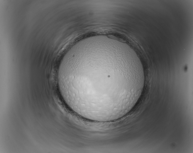 X0000116110044200912071333