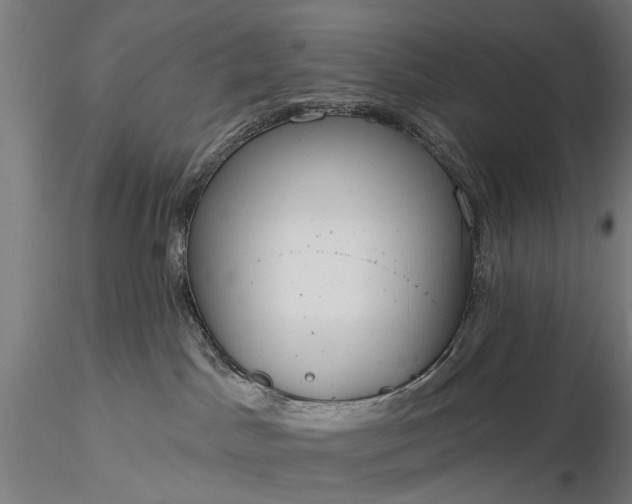 X0000116110045200912071333