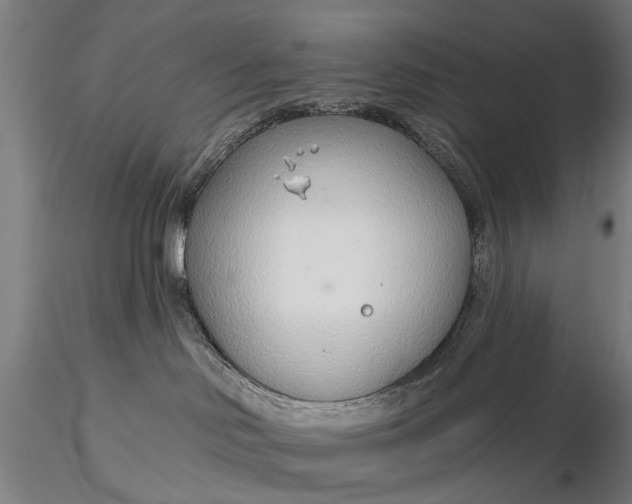 X0000116110046200912071333