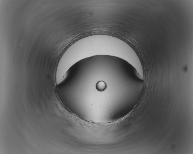 X0000116110047200912071333