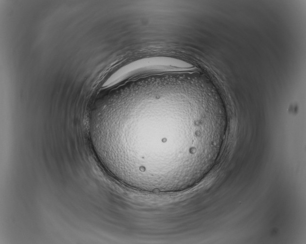 X0000116110048200912071333