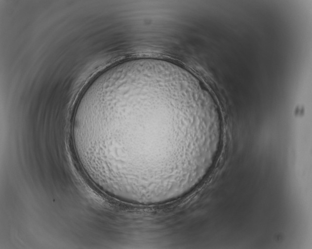 X0000116110049200912071332