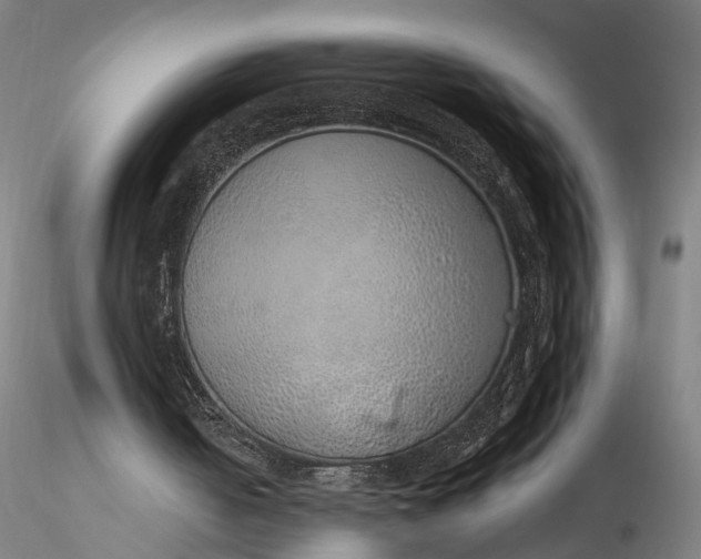 X0000116110050200912071332