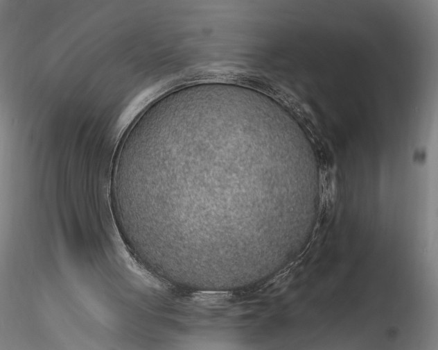 X0000116110051200912071332