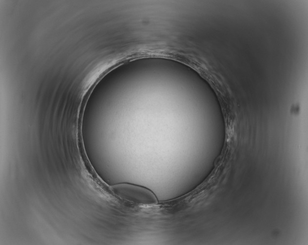 X0000116110052200912071332