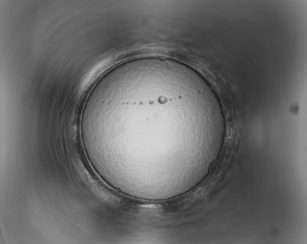 X0000116110053200912071332