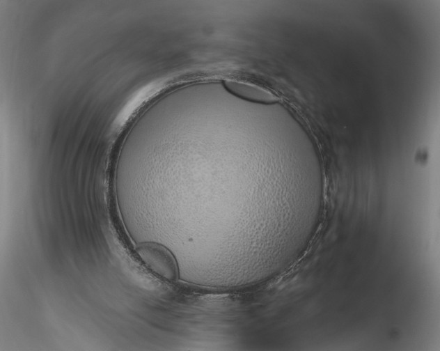 X0000116110054200912071332