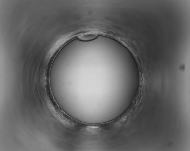 X0000116110055200912071332