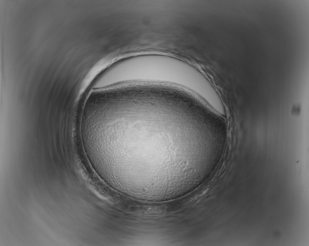 X0000116110056200912071332