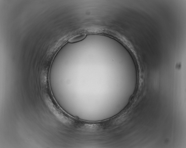 X0000116110057200912071332