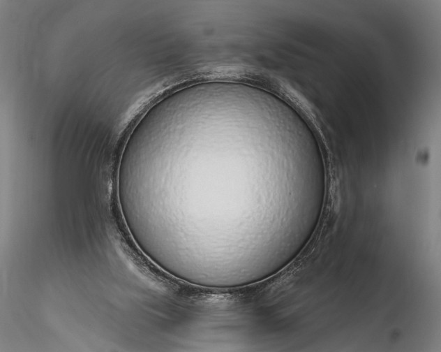 X0000116110059200912071332