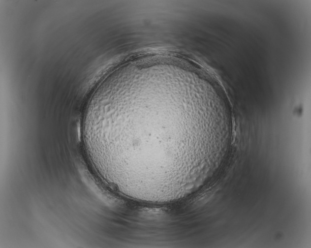 X0000116110061200912071332