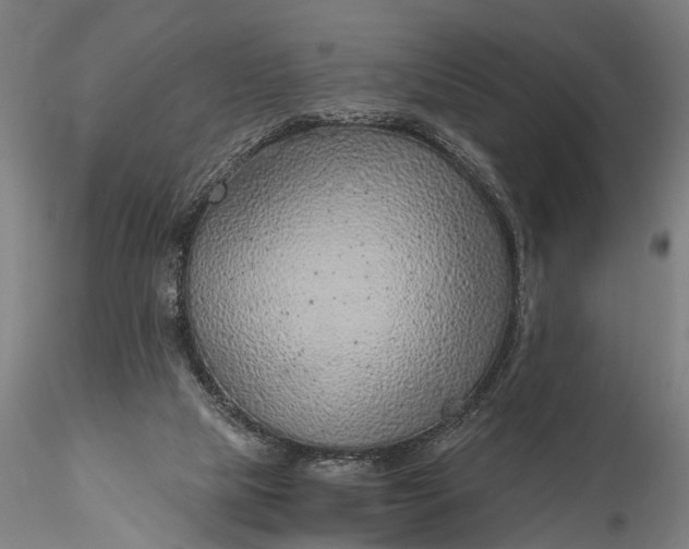 X0000116110065200912071332