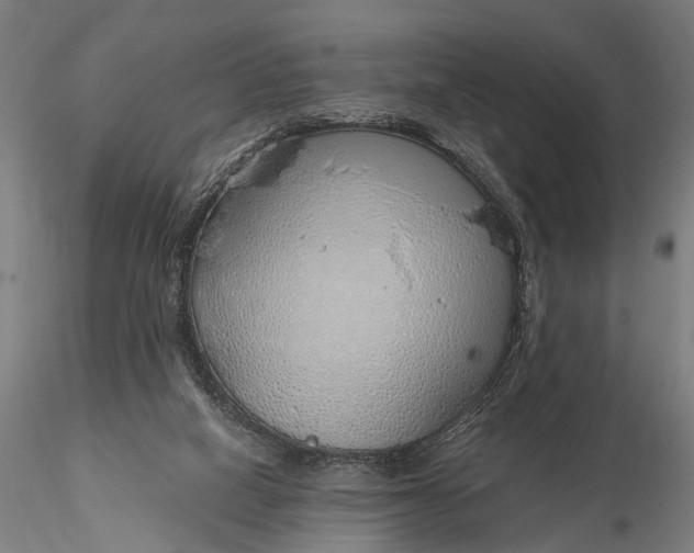 X0000116110066200912071332