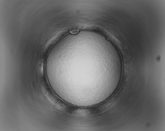 X0000116110067200912071332