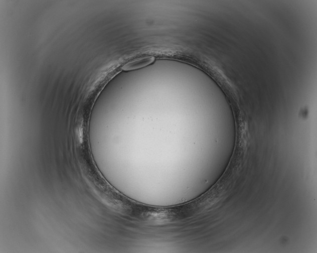 X0000116110068200912071332