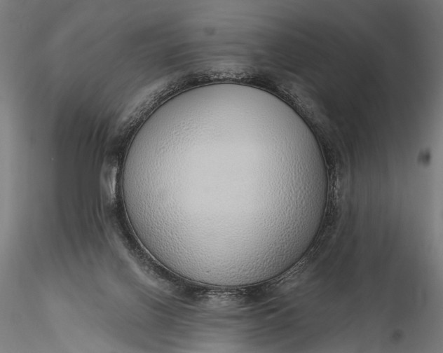 X0000116110070200912071332