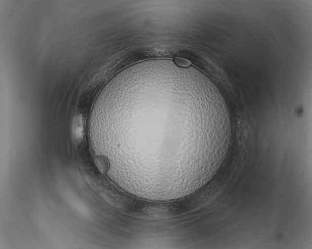 X0000116110075200912071332