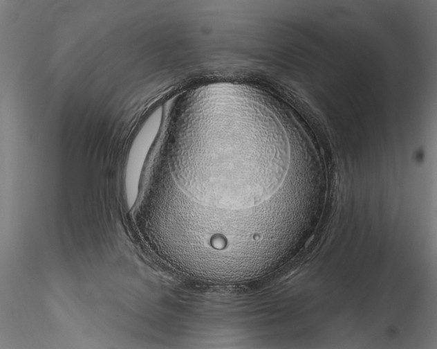 X0000116110076200912071332